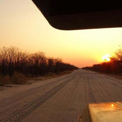 Mobile Safari1