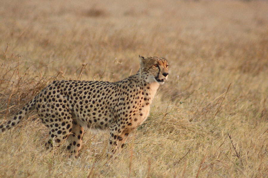 Nxai Pan National Park