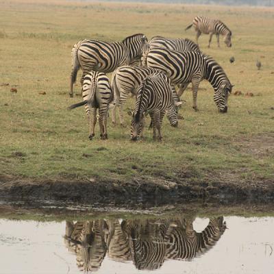 Makgadikgadi
