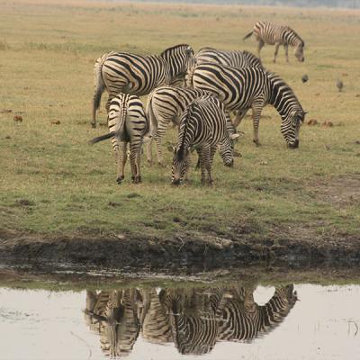 Makgadikgadi